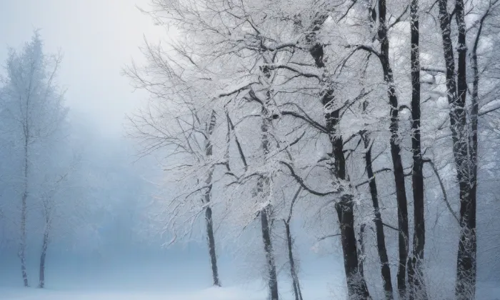 Kamenice nad Lipou – winter