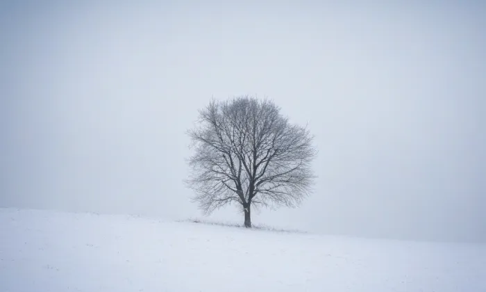 kaple Bolestné Panny Marie a studniční stavení – winter