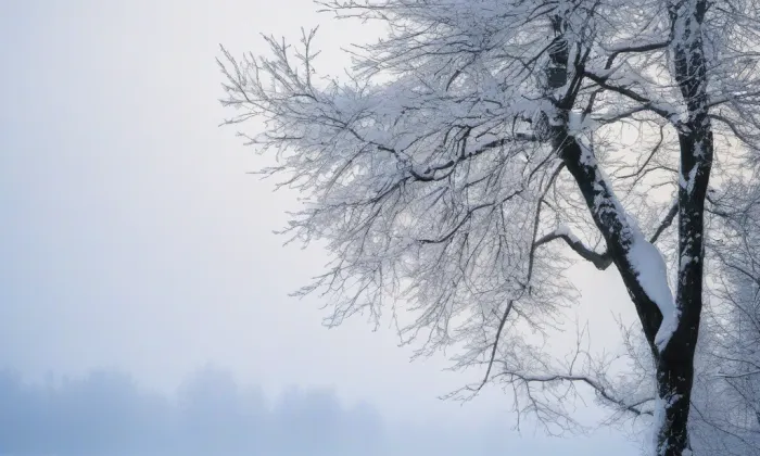 kaple Narození svatého Jana Křtitele (Kamýk) – winter