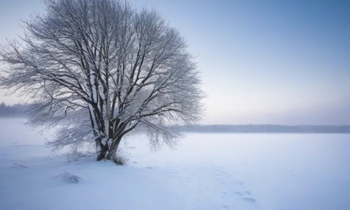 kaple svaté Máří Magdaleny (Vokov) – winter