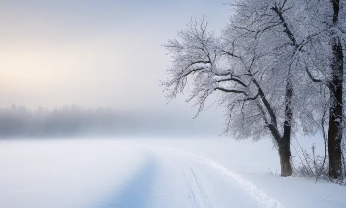 Kaple svatého Jana Nepomuckého (Bukvice) – winter