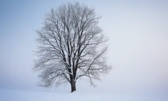 kaple svatého Josefa (Zákupy) – winter