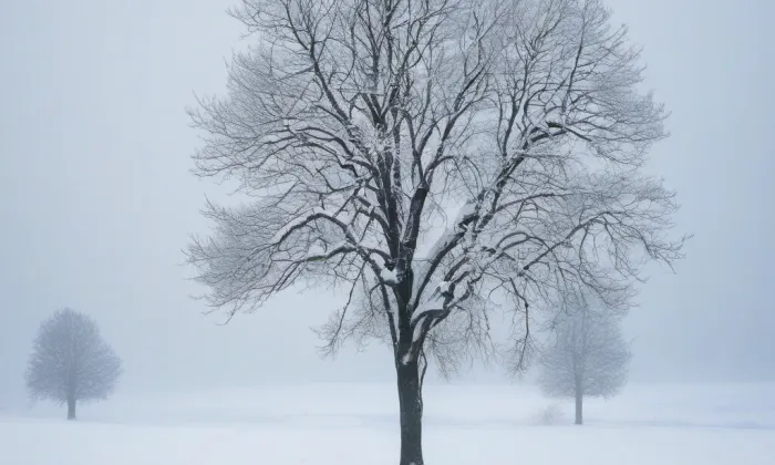 Kaple svatého Václava (Praha 10) – winter