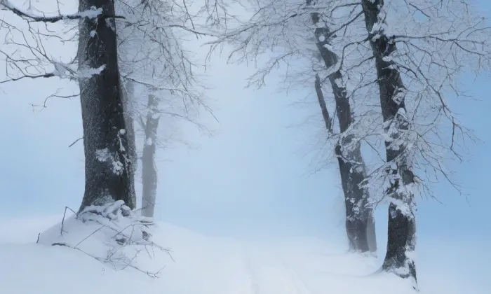 kaple svatého Václava (Znojmo) – winter