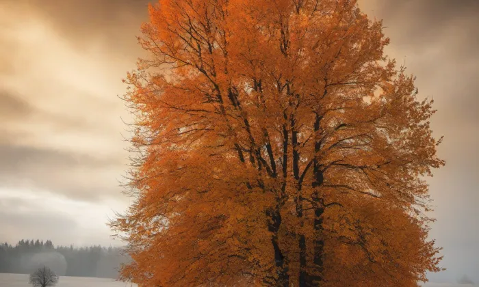 kaple svatého Václava v Kudlově – autumn