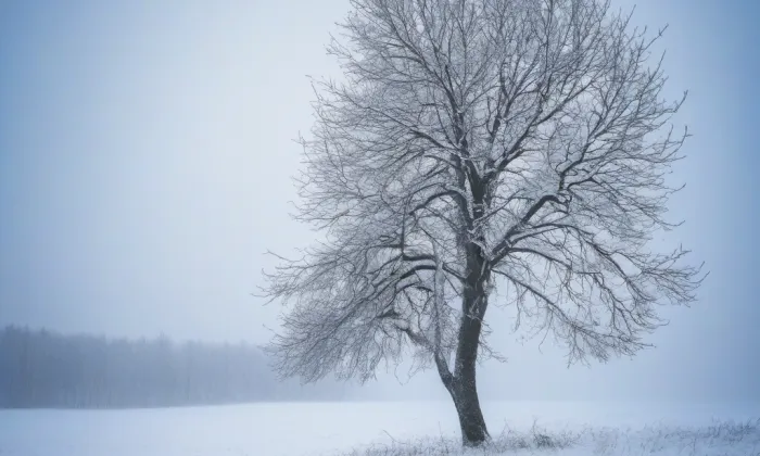 kaple svatého Václava v Kudlově – winter