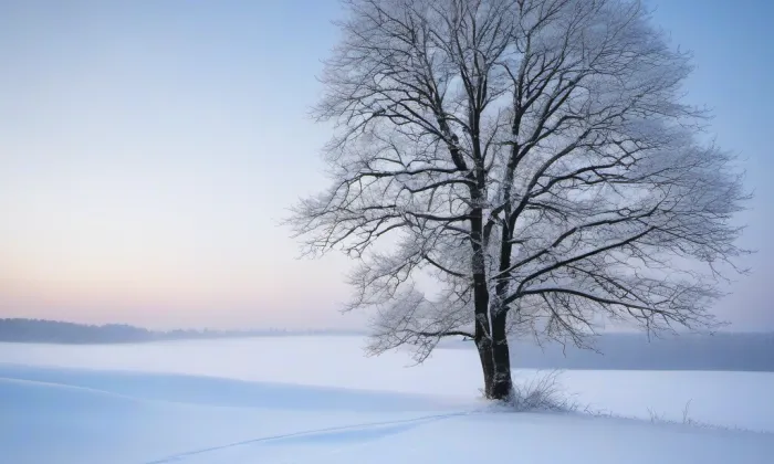 Kaple svatého Vendelína (Arnolec) – winter