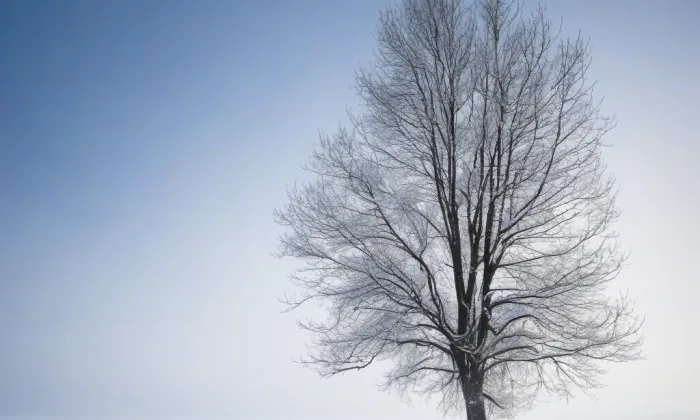 kaple svatého Vincence Ferrerského v Sebuzíně – winter