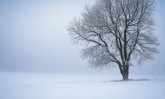 kaple Zvěstování Panny Marie – winter