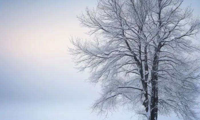Klášter augustiniánů (Vrchlabí) – winter