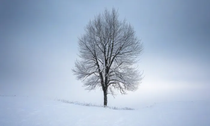 klášter františkánů – winter