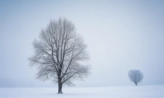 Kostel Jména Panny Marie (Sepekov) – winter