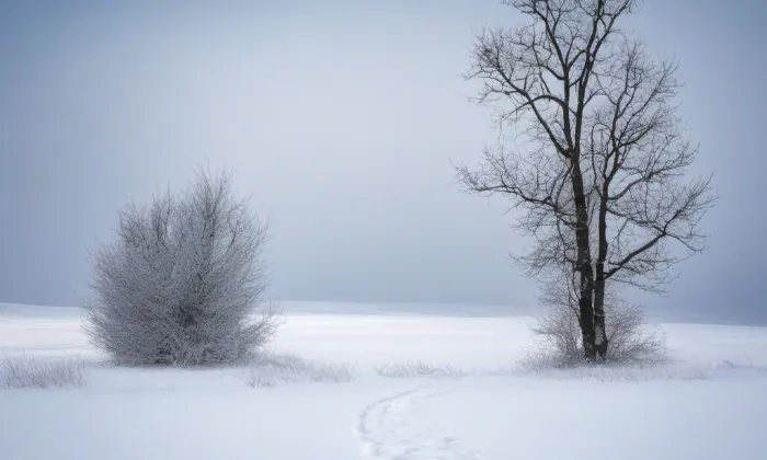 kostel Nanebevzetí Panny Marie (Březník) – winter