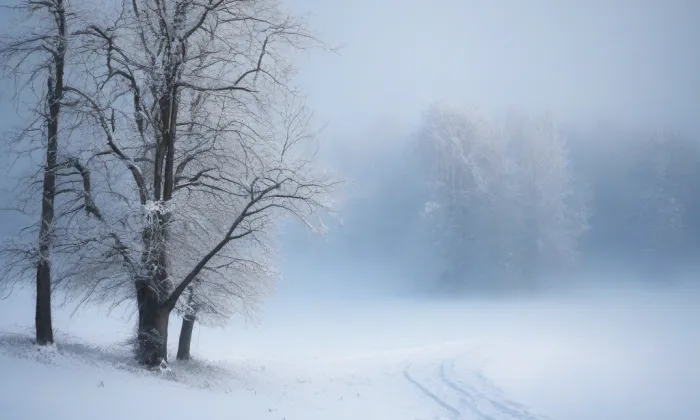 Kostel Nanebevzetí Panny Marie (Bučovice) – winter