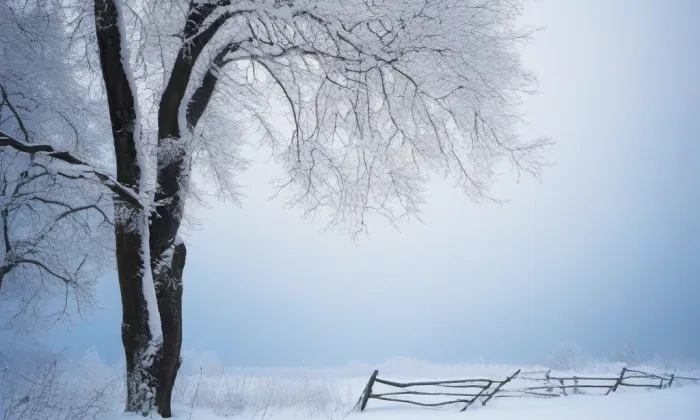 Kostel Nanebevzetí Panny Marie (Holešov) – winter