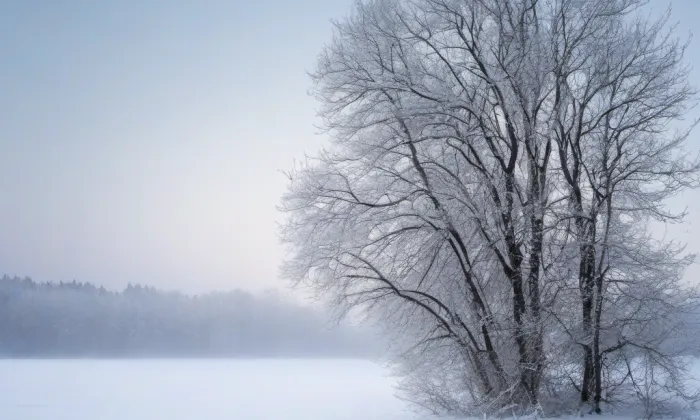 kostel Nanebevzetí Panny Marie (Kohoutov) – winter
