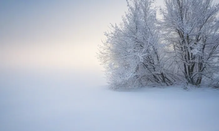 Kostel Nanebevzetí Panny Marie (Ročov) – winter