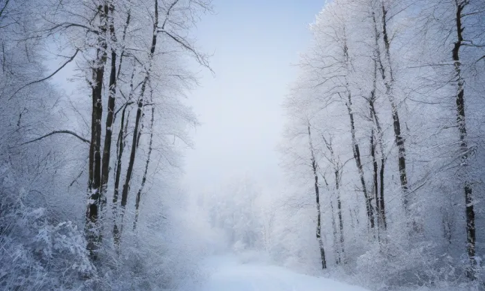 kostel Nanebevzetí Panny Marie (Vnitřní Město) – winter