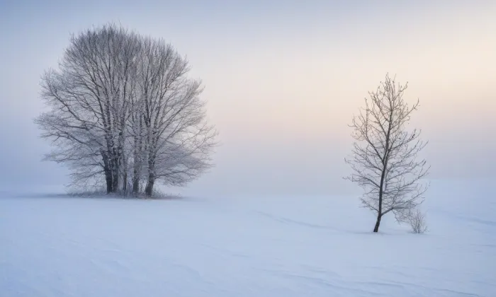 Kostel Nanebevzetí Panny Marie v Tismicích – winter