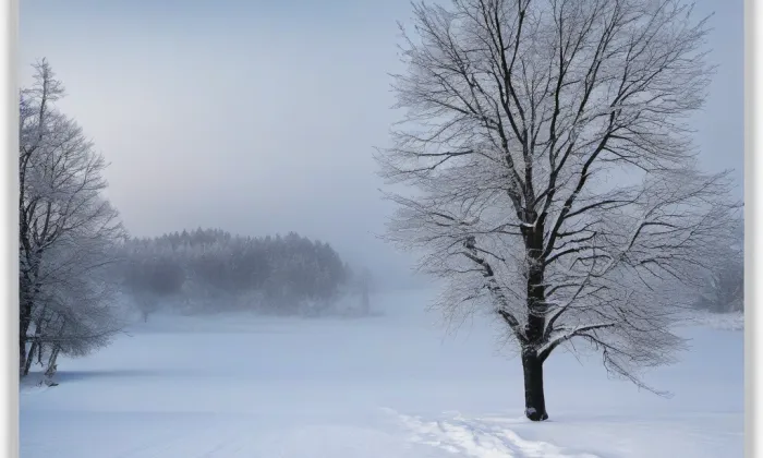 kostel Narození Panny Marie (Choťovice) – winter