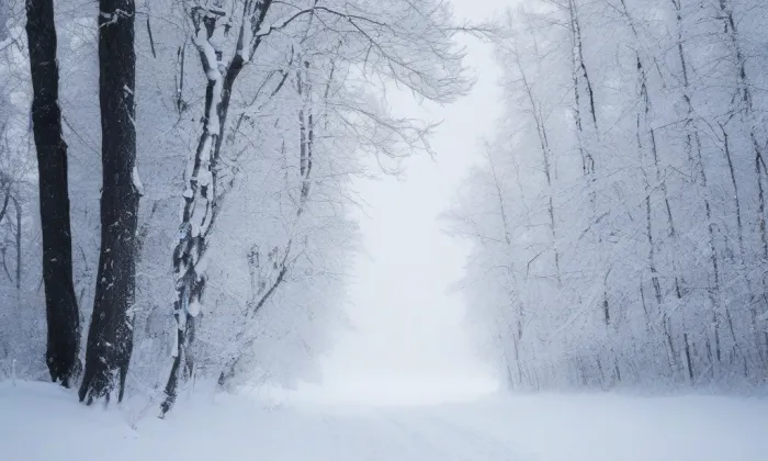 Kostel Narození Panny Marie (Libochovany) – winter