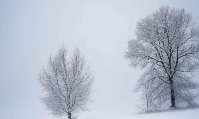 Kostel Narození Panny Marie v Benešově nad Ploučnicí – winter