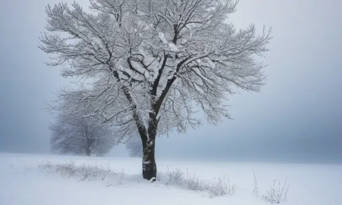 Kostel Nejsvětější Trojice (Řehlovice) – winter