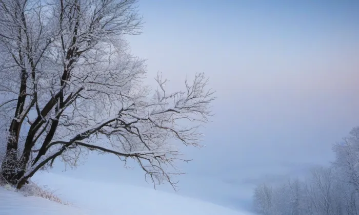 Kostel Nejsvětější Trojice (Malý Háj) – winter