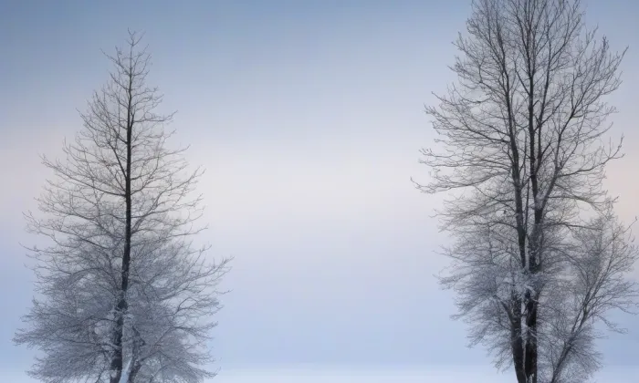 Kostel Neposkvrněného početí Panny Marie (Olomouc) – winter