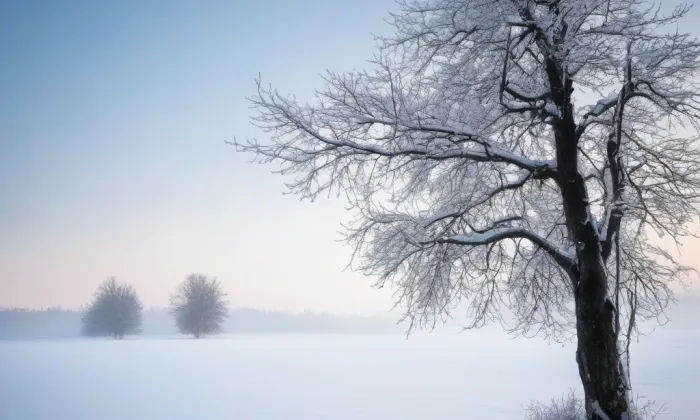 Kostel Povýšení svatého Kříže v Levíně – winter