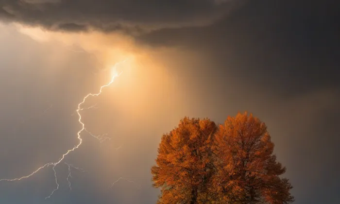 Kostel Sedmi radostí Panny Marie – autumn