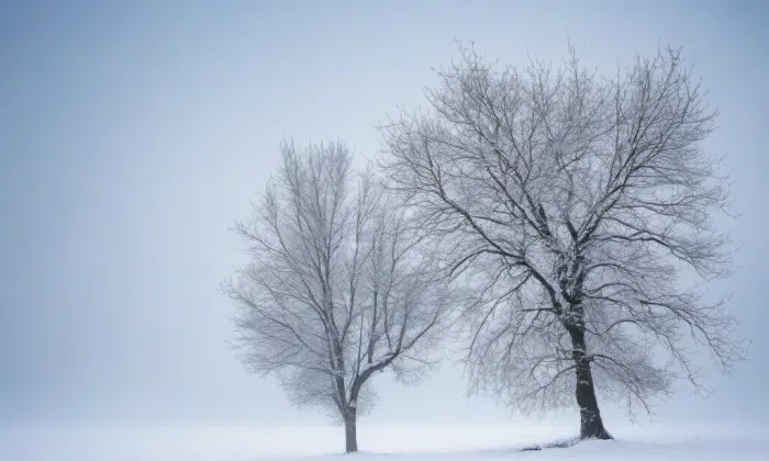 Kostel Sedmi radostí Panny Marie – winter