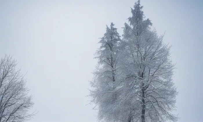 kostel sv. Jana Nepomuckého (Všemina) – winter