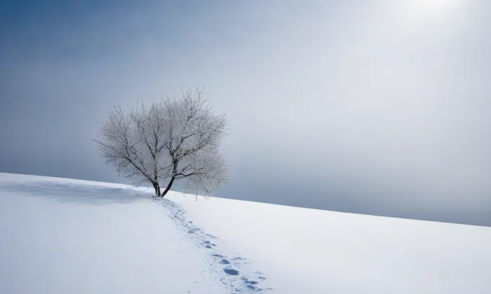 Kostel svaté Kateřiny (Hora Svaté Kateřiny) – winter
