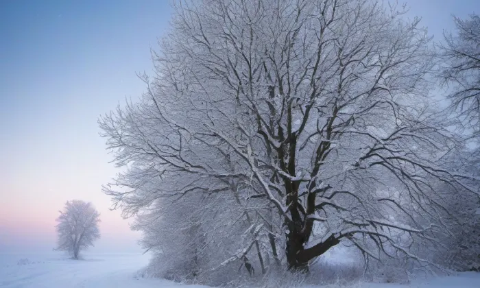 kostel svaté Kateřiny (Višňová) – winter