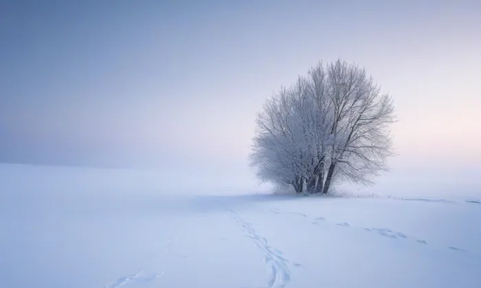 Kostel svaté Kateřiny (Vlastibořice) – winter
