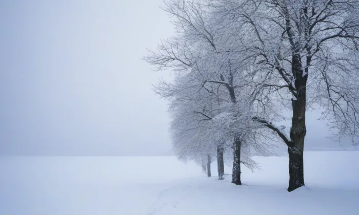 Kostel svaté Máří Magdaleny (Heřmanice) – winter