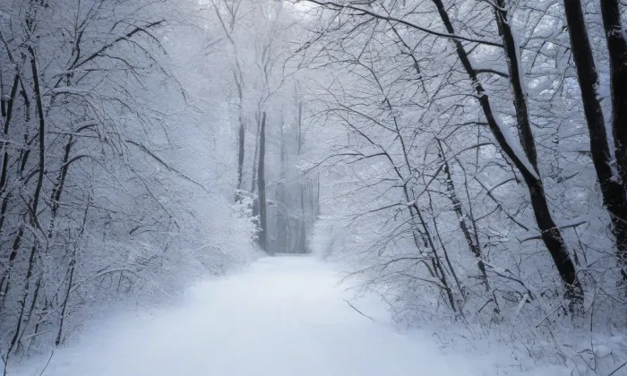 kostel svaté Rodiny (České Budějovice 1) – winter