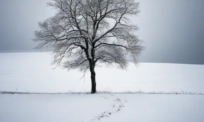 Kostel svatých Petra a Pavla v Oseku – winter