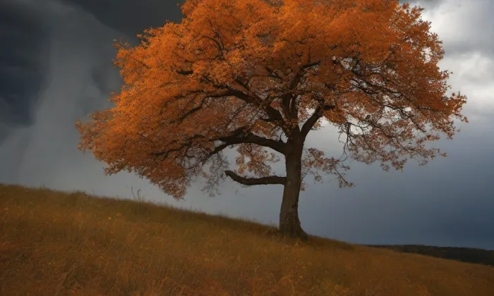 Kostel svatého Antonína Paduánského (Sokolov) – autumn