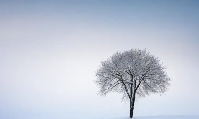 Kostel svatého Antonína Poustevníka – winter