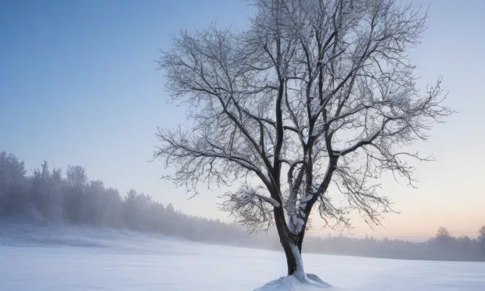 Kostel svatého Bartoloměje (Lanžov) – winter