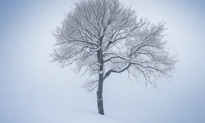 Kostel svatého Filipa a Jakuba (Kadov) – winter