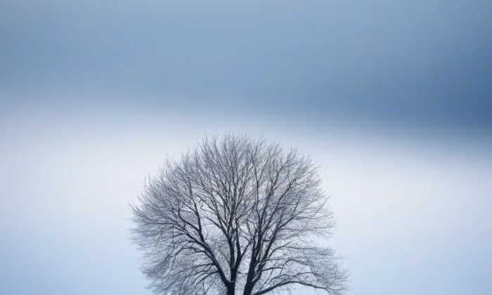 kostel svatého Havla (Mladá Boleslav III) – winter