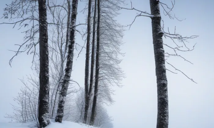 Kostel svatého Jakuba (Týn nad Vltavou) – winter