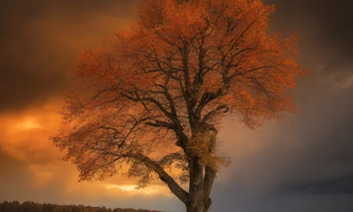 Kostel svatého Jakuba Většího (Lesnice) – autumn