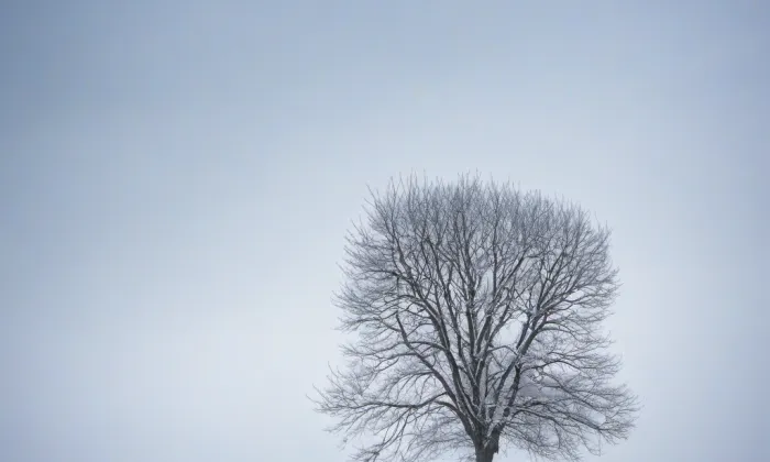 Kostel svatého Jakuba Většího (Lesnice) – winter