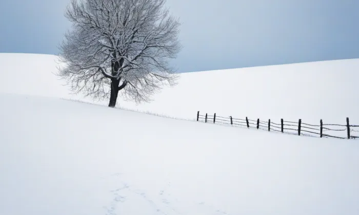 Kostel svatého Jakuba Většího (Sněžná) – winter