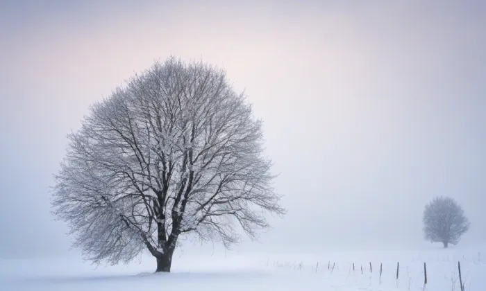 Kostel svatého Jana Křtitele (Frýdek) – winter