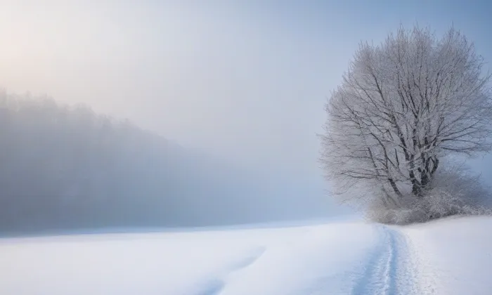 kostel svatého Jana Nepomuckého (Prostějov) – winter
